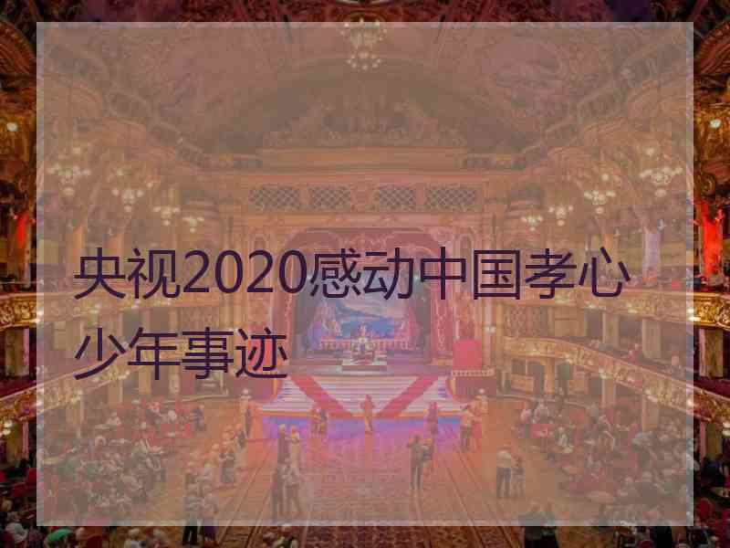 央视2020感动中国孝心少年事迹