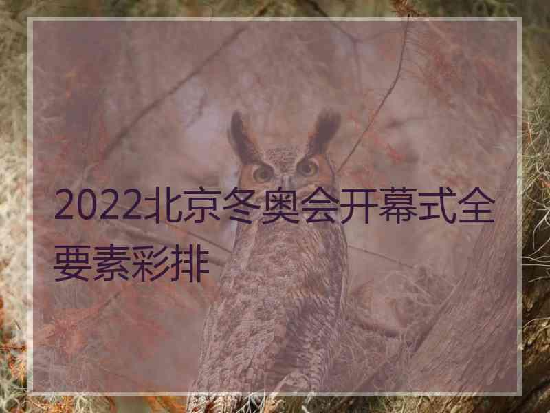 2022北京冬奥会开幕式全要素彩排