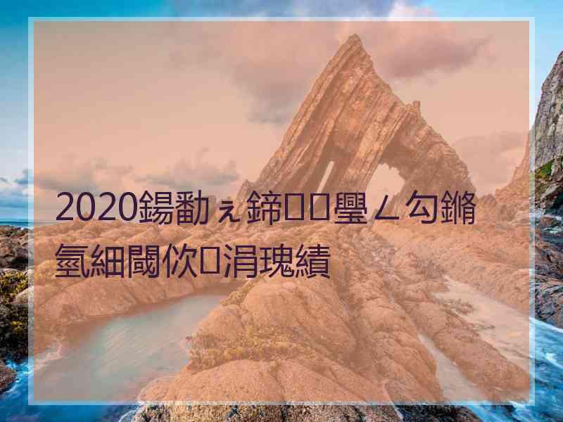 2020鍚勫ぇ鍗璺ㄥ勾鏅氫細閾佽涓瑰績