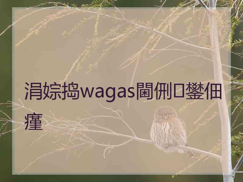 涓婃捣wagas閫侀鐢佃瘽