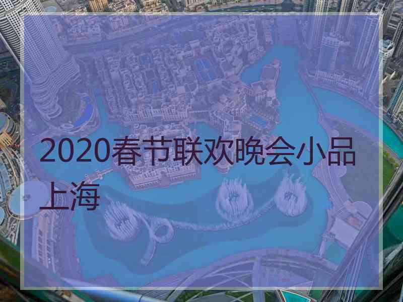 2020春节联欢晚会小品上海