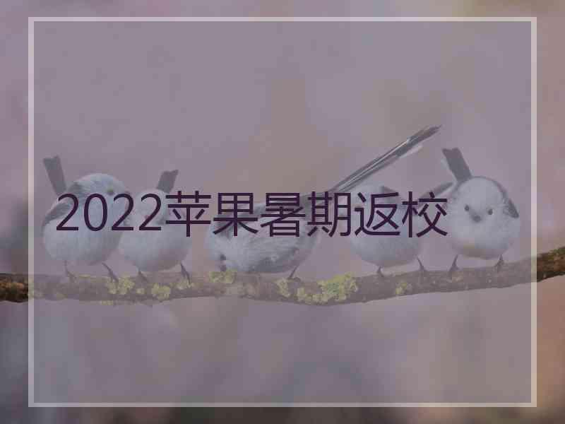 2022苹果暑期返校