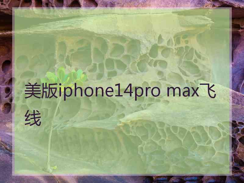 美版iphone14pro max飞线