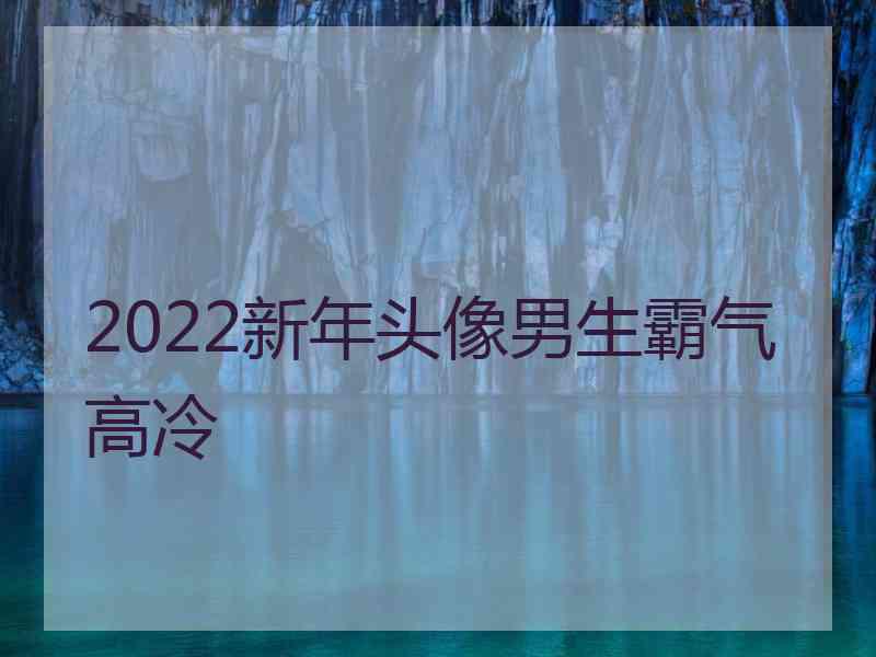 2022新年头像男生霸气高冷