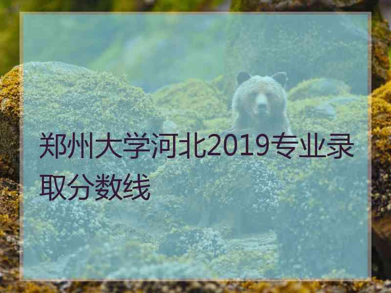 郑州大学河北2019专业录取分数线