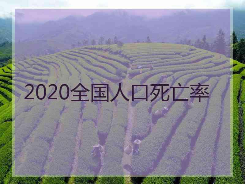 2020全国人口死亡率