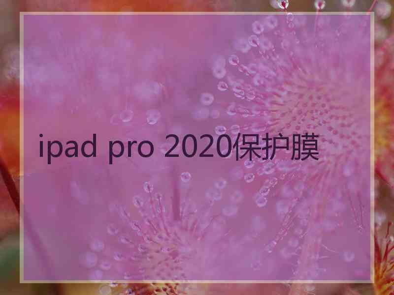 ipad pro 2020保护膜