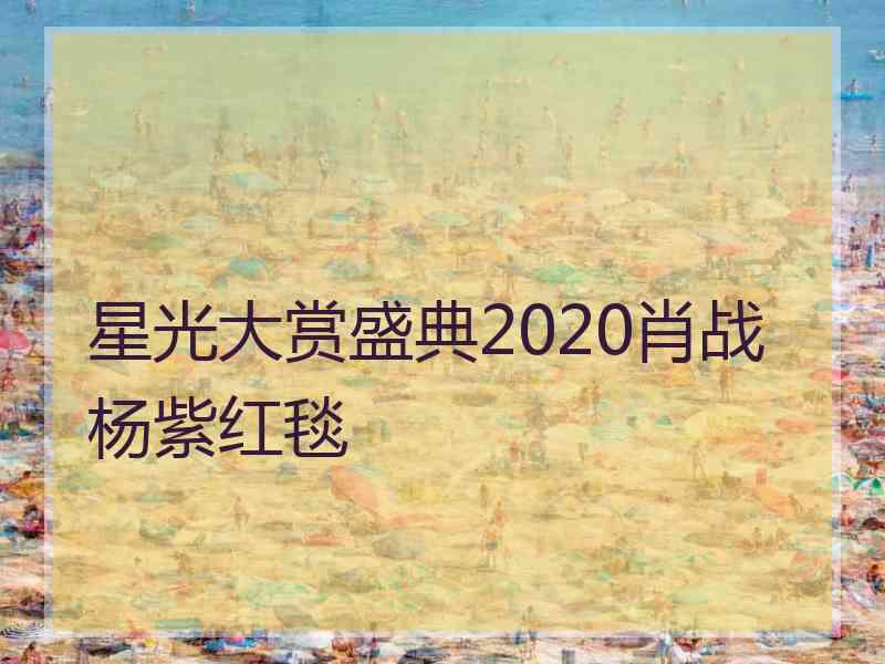 星光大赏盛典2020肖战杨紫红毯