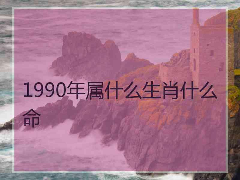 1990年属什么生肖什么命