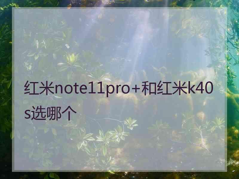 红米note11pro+和红米k40s选哪个