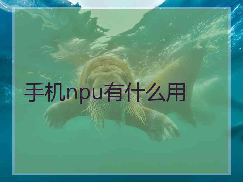 手机npu有什么用