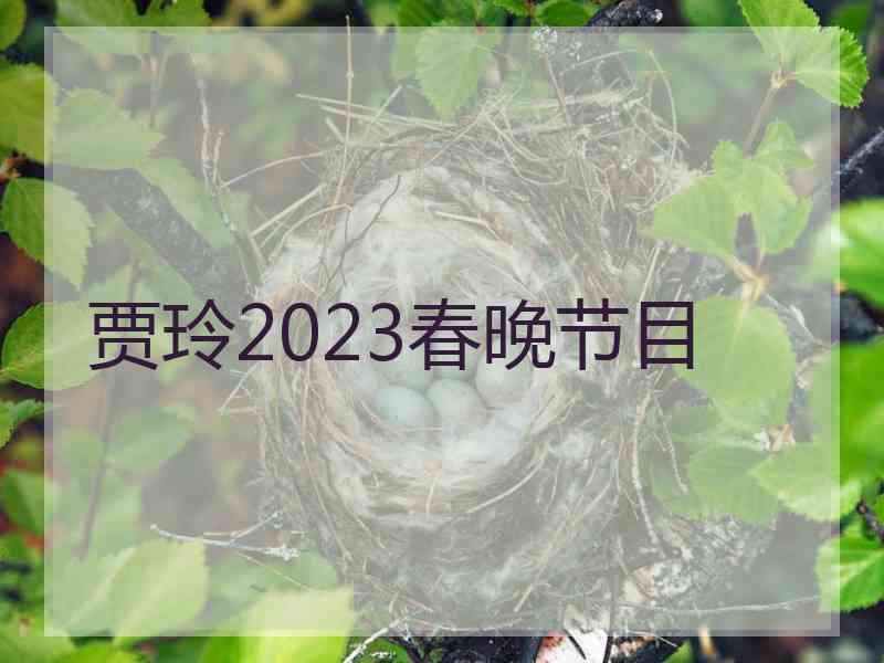 贾玲2023春晚节目