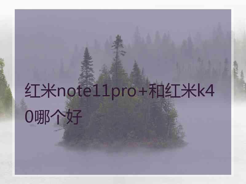 红米note11pro+和红米k40哪个好