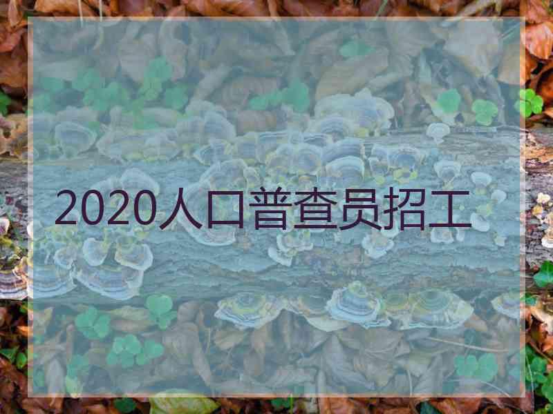 2020人口普查员招工