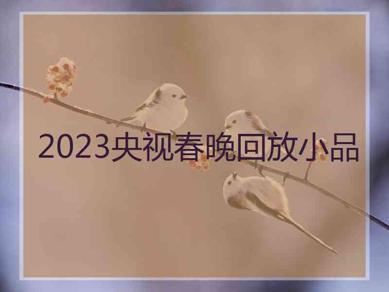 2023央视春晚回放小品