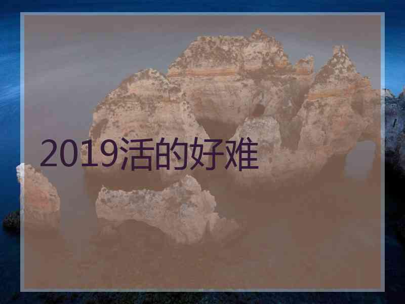 2019活的好难