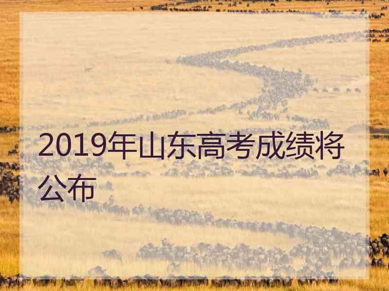 2019年山东高考成绩将公布