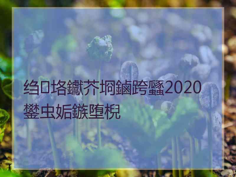 绉垎钀芥埛鏀跨瓥2020鐢虫姤鏃堕棿