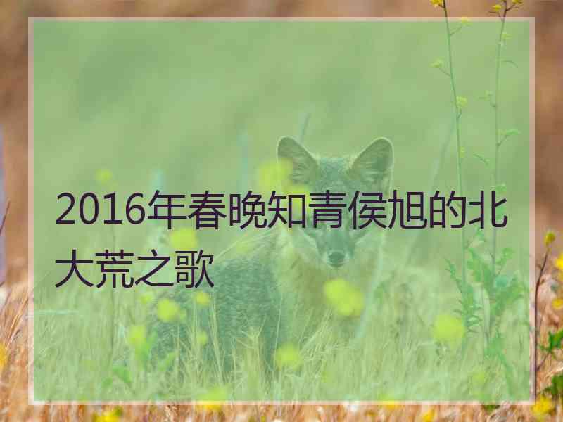 2016年春晚知青侯旭的北大荒之歌