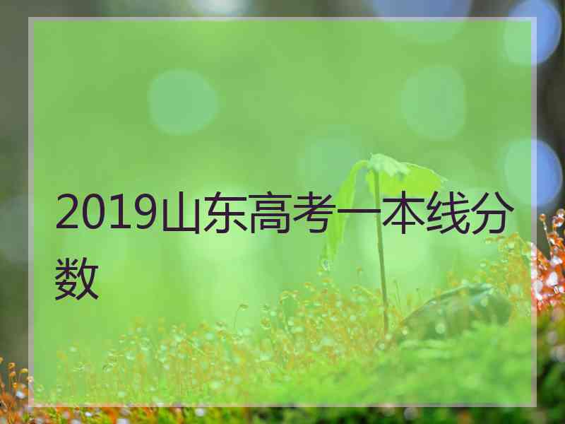 2019山东高考一本线分数