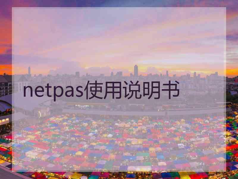 netpas使用说明书