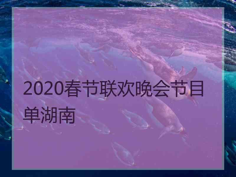 2020春节联欢晚会节目单湖南