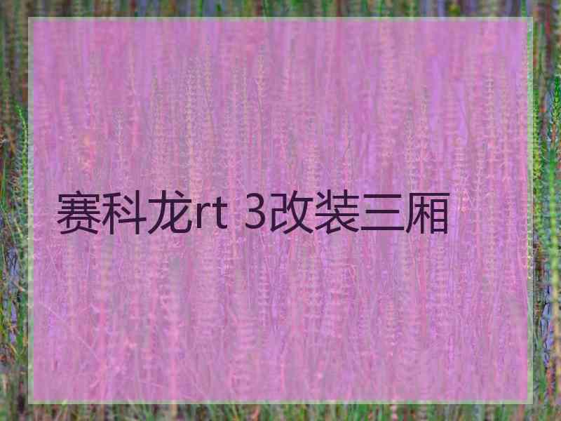 赛科龙rt 3改装三厢