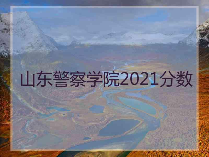 山东警察学院2021分数