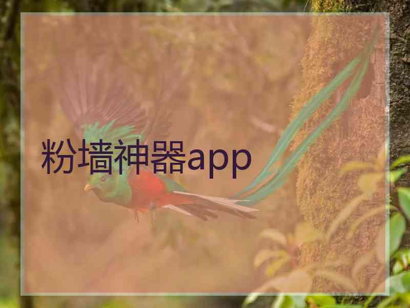 粉墙神器app