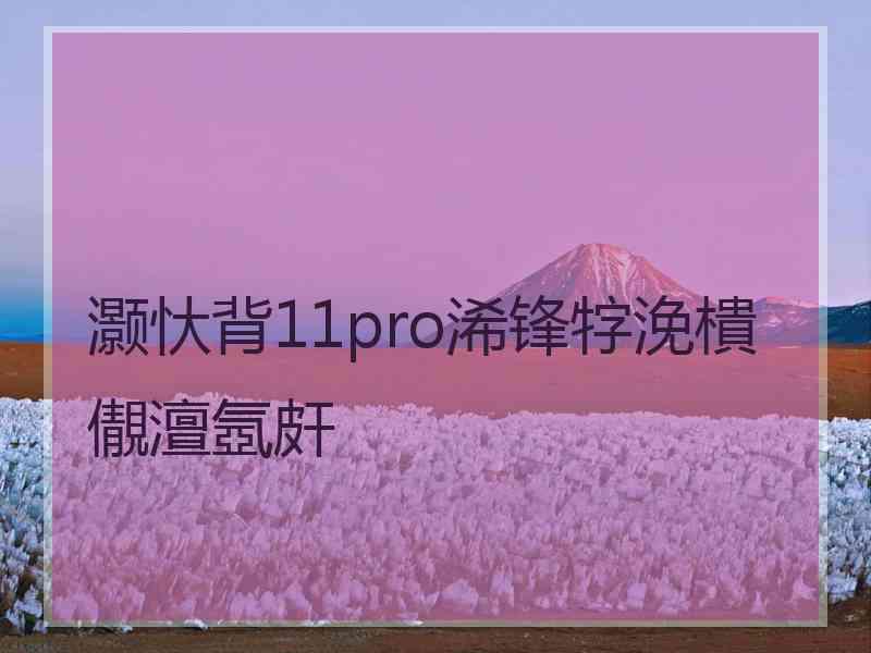 灏忕背11pro浠锋牸浼樻儬澶氬皯