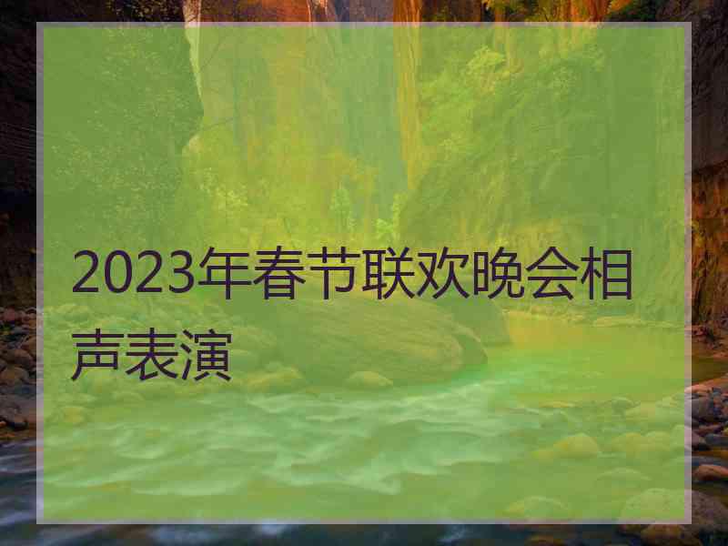 2023年春节联欢晚会相声表演