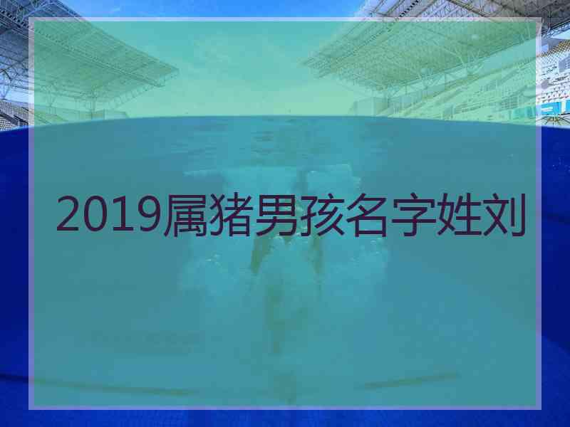 2019属猪男孩名字姓刘