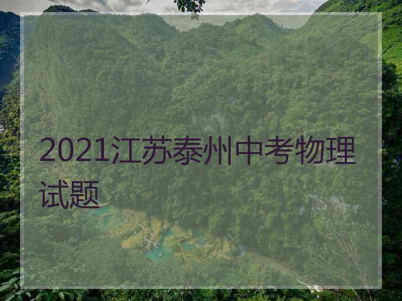 2021江苏泰州中考物理试题