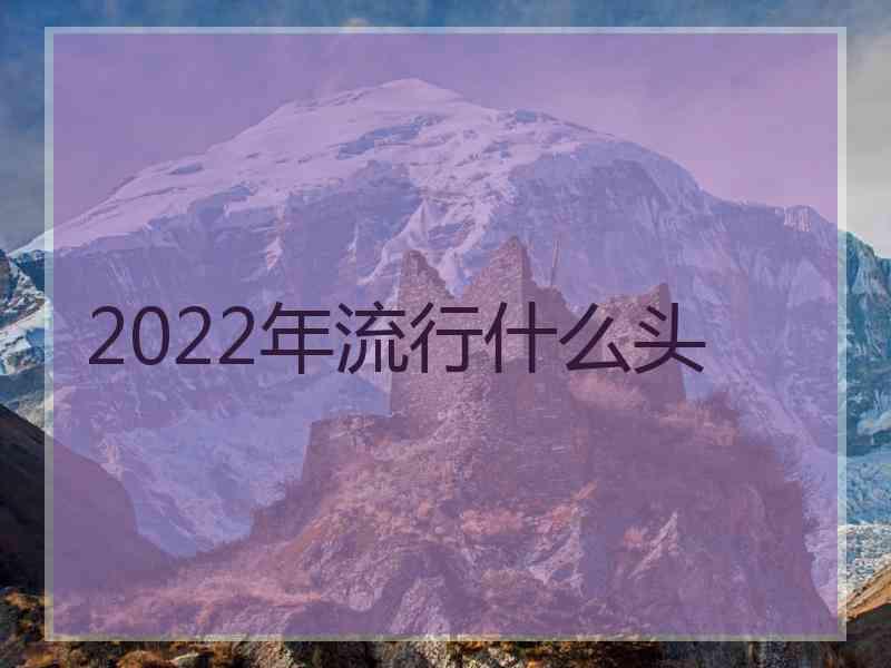 2022年流行什么头