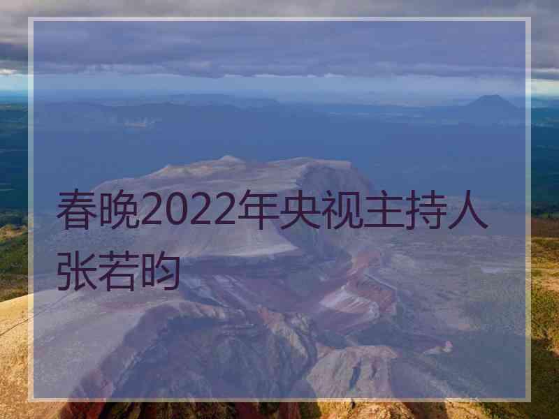 春晚2022年央视主持人张若昀