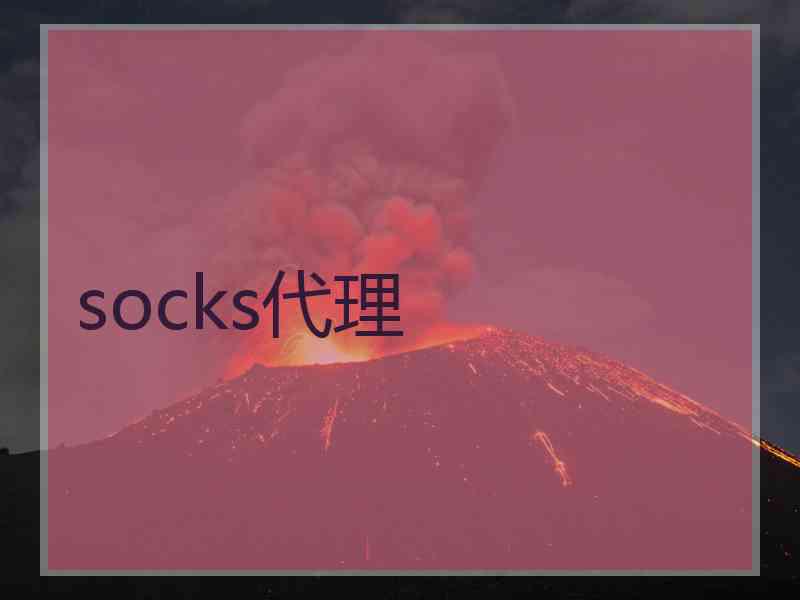 socks代理