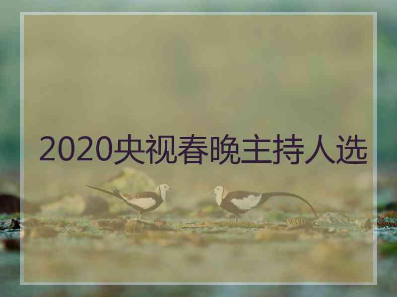 2020央视春晚主持人选