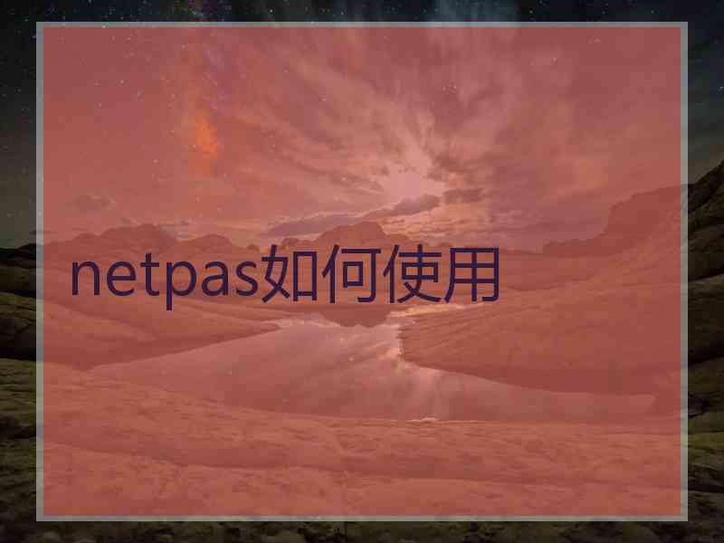 netpas如何使用