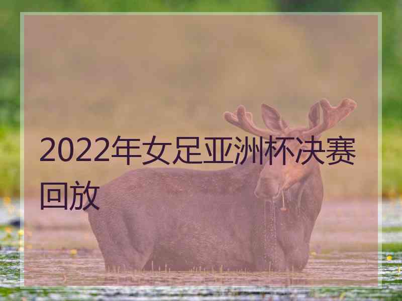 2022年女足亚洲杯决赛回放