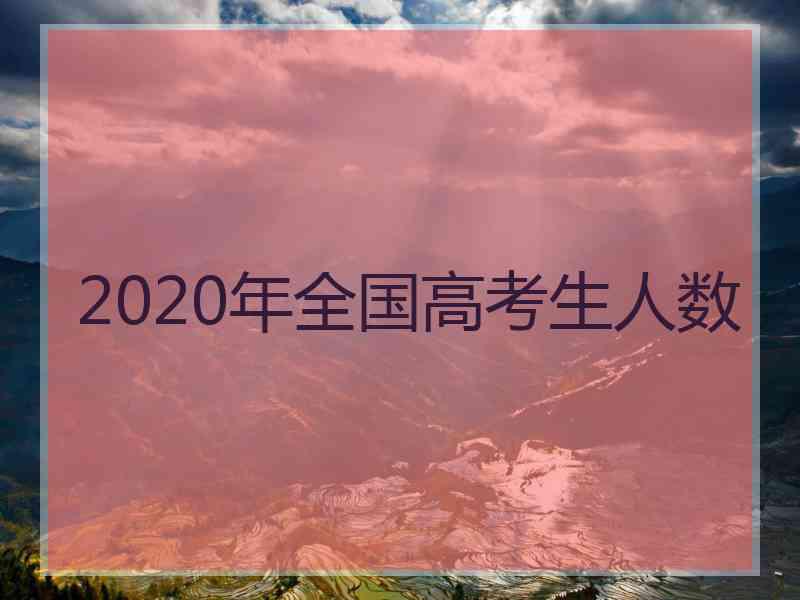 2020年全国高考生人数