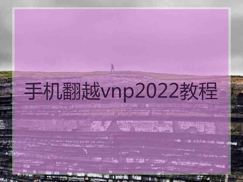 手机翻越vnp2022教程