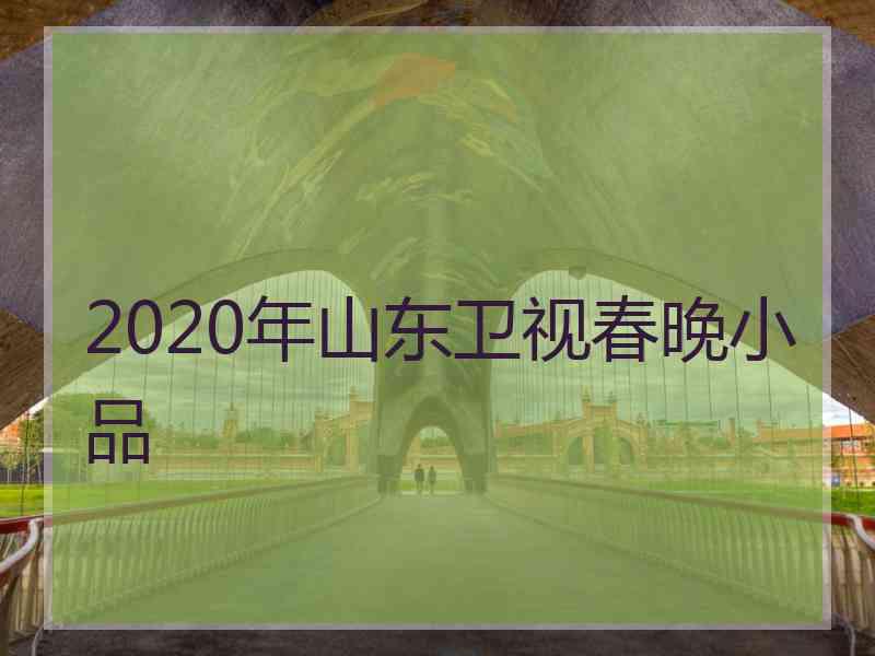 2020年山东卫视春晚小品