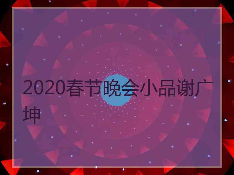 2020春节晚会小品谢广坤