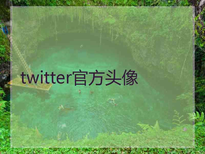 twitter官方头像