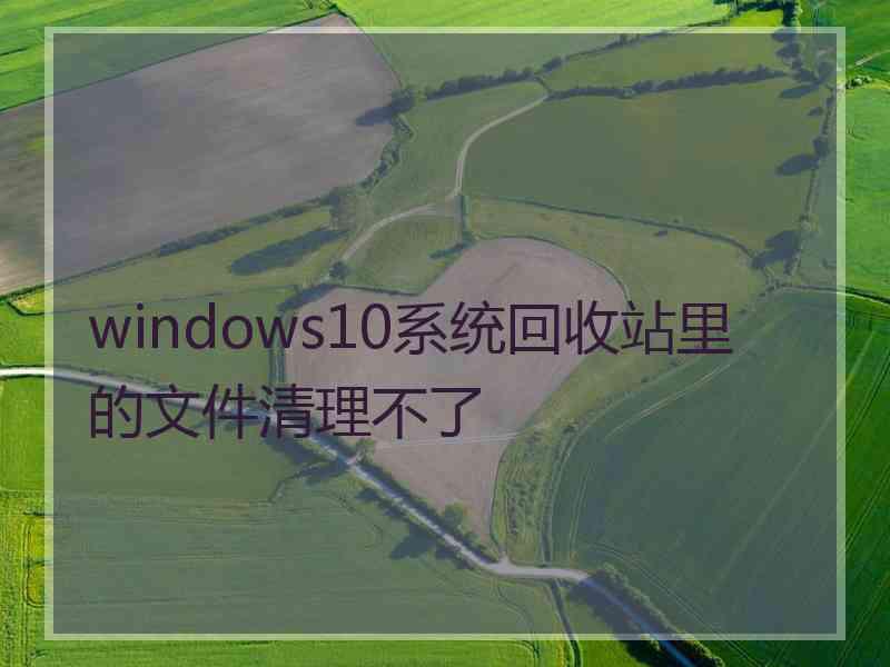 windows10系统回收站里的文件清理不了