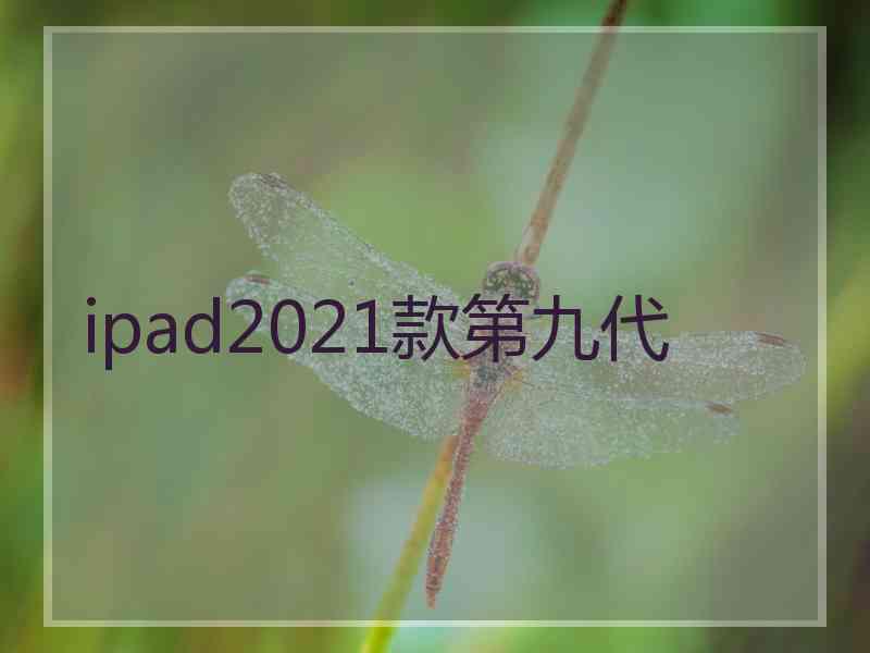 ipad2021款第九代