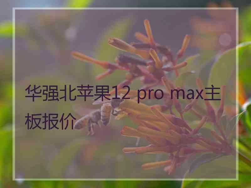 华强北苹果12 pro max主板报价