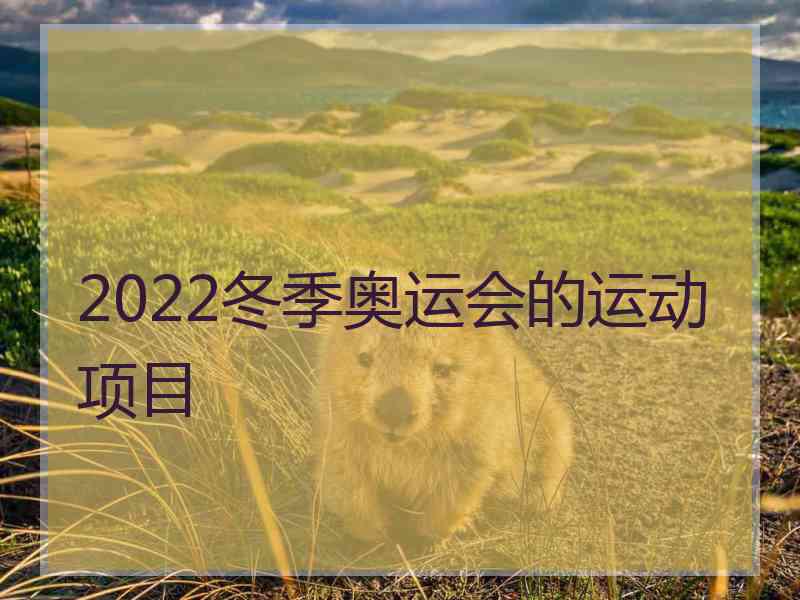 2022冬季奥运会的运动项目