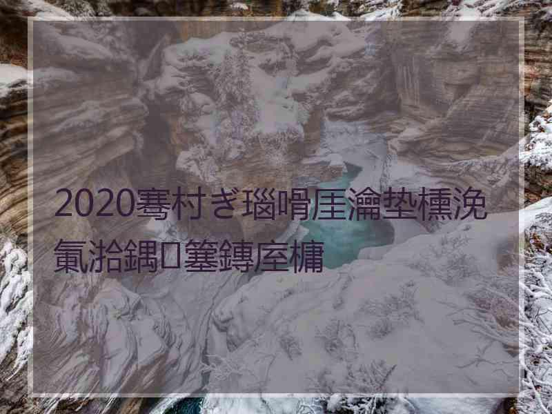 2020骞村ぎ瑙嗗厓瀹垫櫄浼氭湁鍝簺鏄庢槦