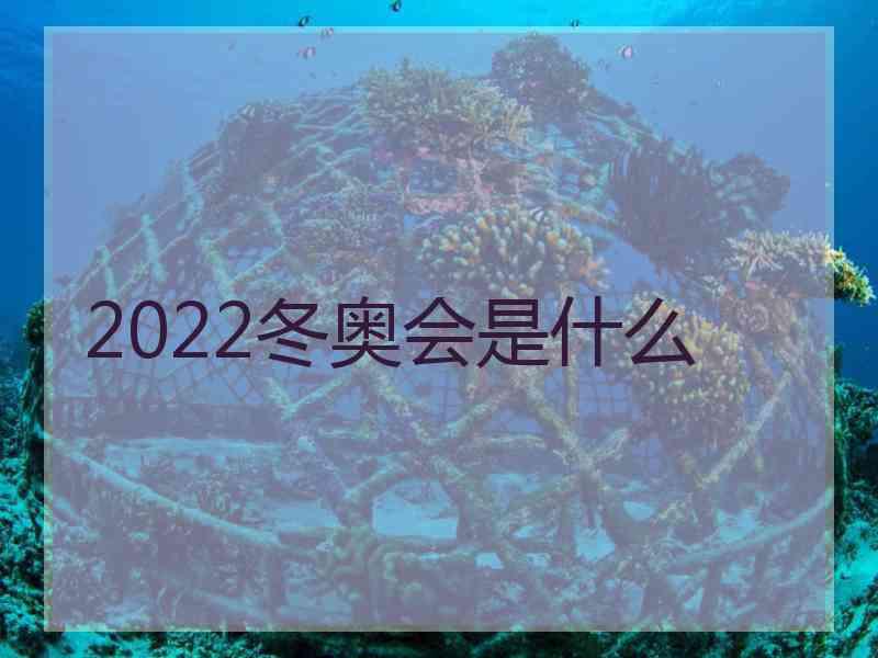 2022冬奥会是什么